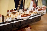 LEGO The Endurance 10335