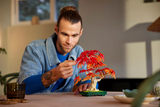 LEGO Botanical Japanese Red Maple Bonsai Tree The Botanical Collection 10348