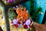 LEGO Tropical Aquarium 10366