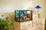 LEGO Tropical Aquarium 10366