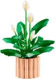 Lego Peace Lily 11504