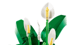 Lego Peace Lily 11504