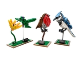 Lego Birds 21301
