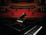 LEGO IDEAS Grand Piano 21323
