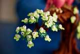 LEGO Love Birds 21365