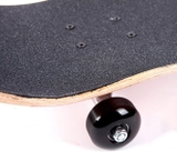 Ván trượt Landway McGill DISCO MS013