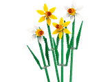 Lego Daffodils 40747