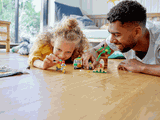 Lego Picnic in The Park 60326