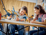 Lego Ninjago Elemental Dragon vs. The Empress Mech 71796