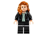Lego DC Comics Heroes of Justice: Sky High Battle 76046