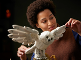 LEGO Hogwarts™ Icons - Collectors' Edition 76391