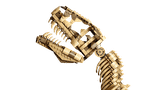 LEGO Dinosaur Fossils: Tyrannosaurus rex 76968