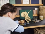 LEGO Dinosaur Fossils: Triceratops Skull 76969