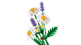 Lego Daisies 11508