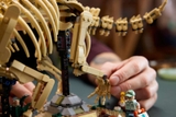 LEGO Dinosaur Fossils: Triceratops 77985