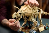 LEGO Dinosaur Fossils: Triceratops 77985