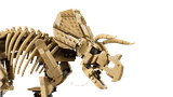LEGO Dinosaur Fossils: Triceratops 77985