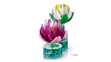 LEGO Botanicals Water Lilies 11511