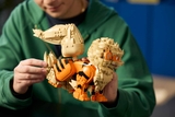 LEGO Pokémon Arcanine 72160