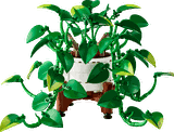 LEGO Botanicals Hanging Golden Pothos 11512