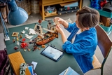 LEGO Iconic Pirate Ship 31387