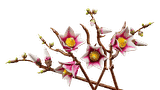 Lego Magnolia Branches 11510