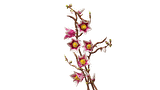 Lego Magnolia Branches 11510