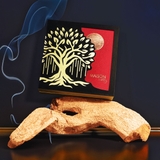 Hộp Bánh Nguyệt Thụ 2025