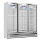 aa68851-tu-dong-dung-mat-kinh-alaska-ifg-1100-1100l-3-canh