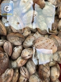 Ngao 2 Cùi