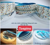 Dây led dán 12V 120 bóng/m 12W 15W, cuộn 5 mét, module led 2835 ánh sáng trắng, vàng ấm, trung tính siêu sáng có keo dính 2 mặt tiện dụng
