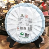 Phổ Nhĩ Sống 2024 Đổng Quá