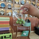 Hộp mix 5 vùng trà Bát Giác Đình