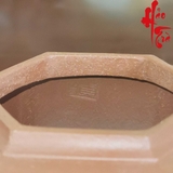 Ấm Tử Sa AM209 - 170ml