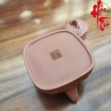Ấm Tử Sa AM244 - 310ml