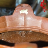 Ấm Tử Sa Tăng Mão - AM254