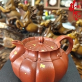 Ấm Tử Sa Tăng Mão - AM254