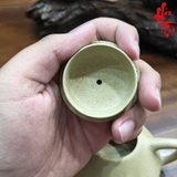 NH2 Ấm Tử Tử Dã Thạch Biều Sa AM407 - 260ml
