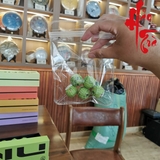 Phổ Nhĩ Sống 2024 Dị Võ (Dạng Viên) - PNS163