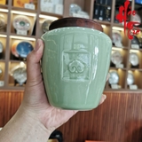 Trà xanh Long Tỉnh Minh Tiền - Chiết Giang 2026 giống 43