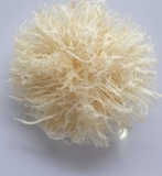 Vi Cá Cước - 100g