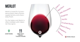 Merlot