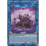 CR03-AE193 Sunavalon Dryatrentiay (UL) [ GGSTORE ] [ Bài Yugioh Chính Hãng ]