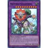 [ Bài Yugioh Chính Hãng ] Naturia Gaiastrio - WSUP-EN033 - Super Rare 1st Edition