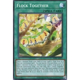 [ Bài Yugioh Chính Hãng ] PHNI-AE072 Flock Together - Common