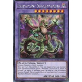 [ Bài Yugioh Chính Hãng ] Predaplant Dragostapelia - RC04-AE028
