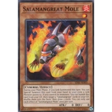 [ Bài Yugioh Chính Hãng ] SDSS-AE003 Salamangreat Mole - Common