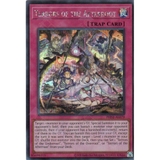 [ Bài Yugioh Chính Hãng ] PHNI-AE079 Terrors of the Afterroot