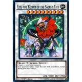 [ Bài Yugioh Chính Hãng ] Leo, the Keeper of the Sacred Tree - LEHD-ENB33 - Common 1st Edition