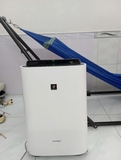 Máy lọc không khí và bù ẩm nội địa Nhật Sharp Tháp KC-F50